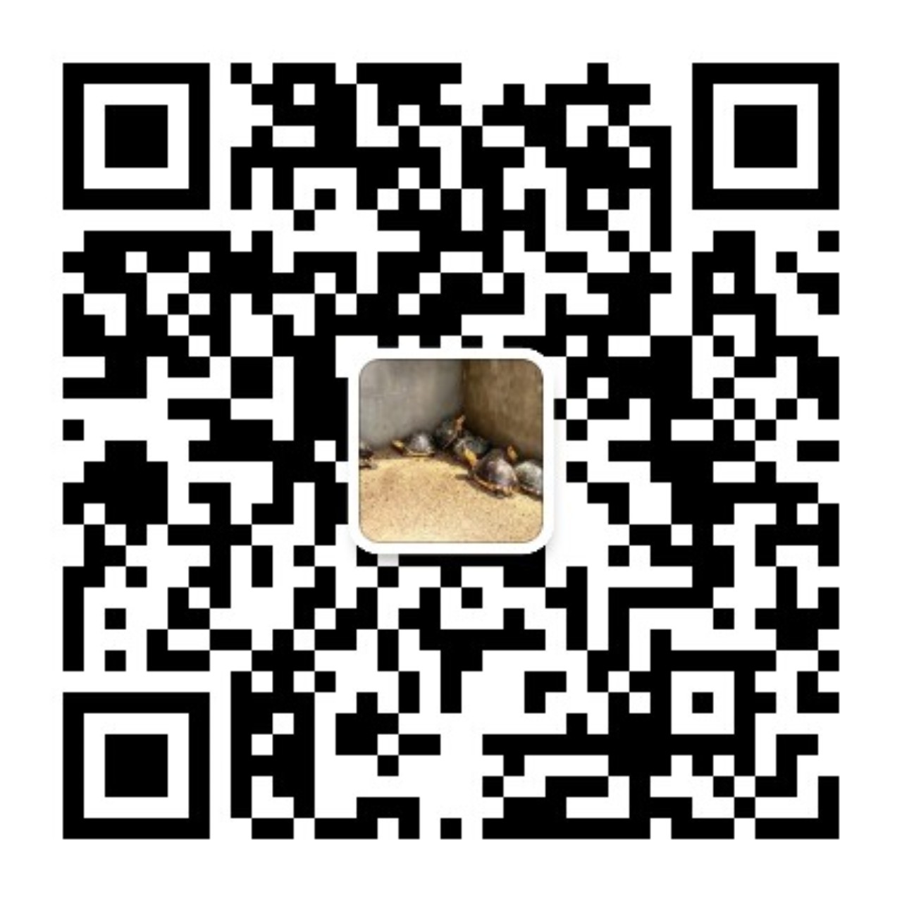 qrcode_for_gh_957722cd01ce_1280.jpg